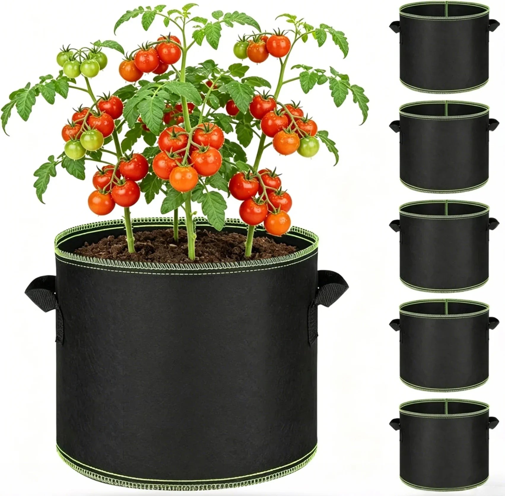 5 Gallon / BUY 1 (5 Pack)