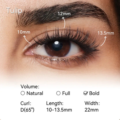 ❤️‍🔥💞LAST DAY 50% OFF-DOCTIA® Soft Magnetic Eyelashes All-in-One Box, Reusable, Glue-Free, Waterproof, Lightweight, Natural Style Makeup Cosmetic